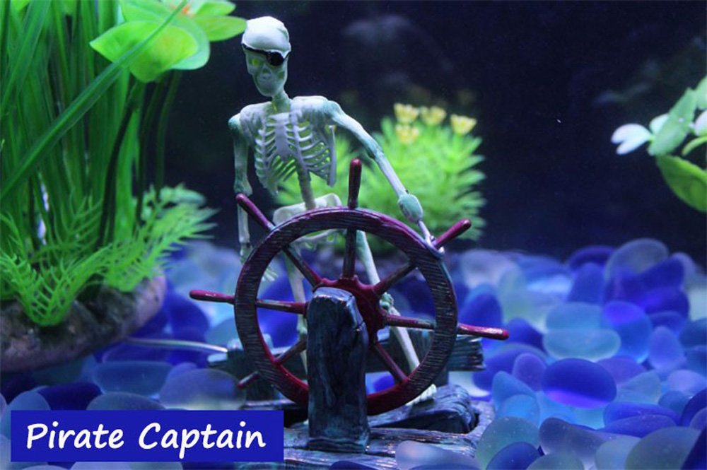 Your one-stop shop for diverse, top-quality aquarium supplies and accessories