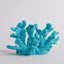 Your one-stop shop for diverse, top-quality aquarium supplies and accessories