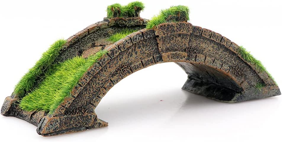 Your one-stop shop for diverse, top-quality aquarium supplies and accessories