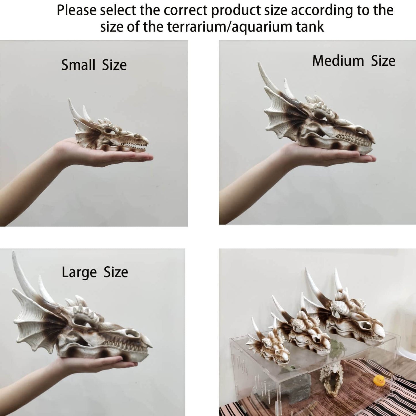 Your one-stop shop for diverse, top-quality aquarium supplies and accessories