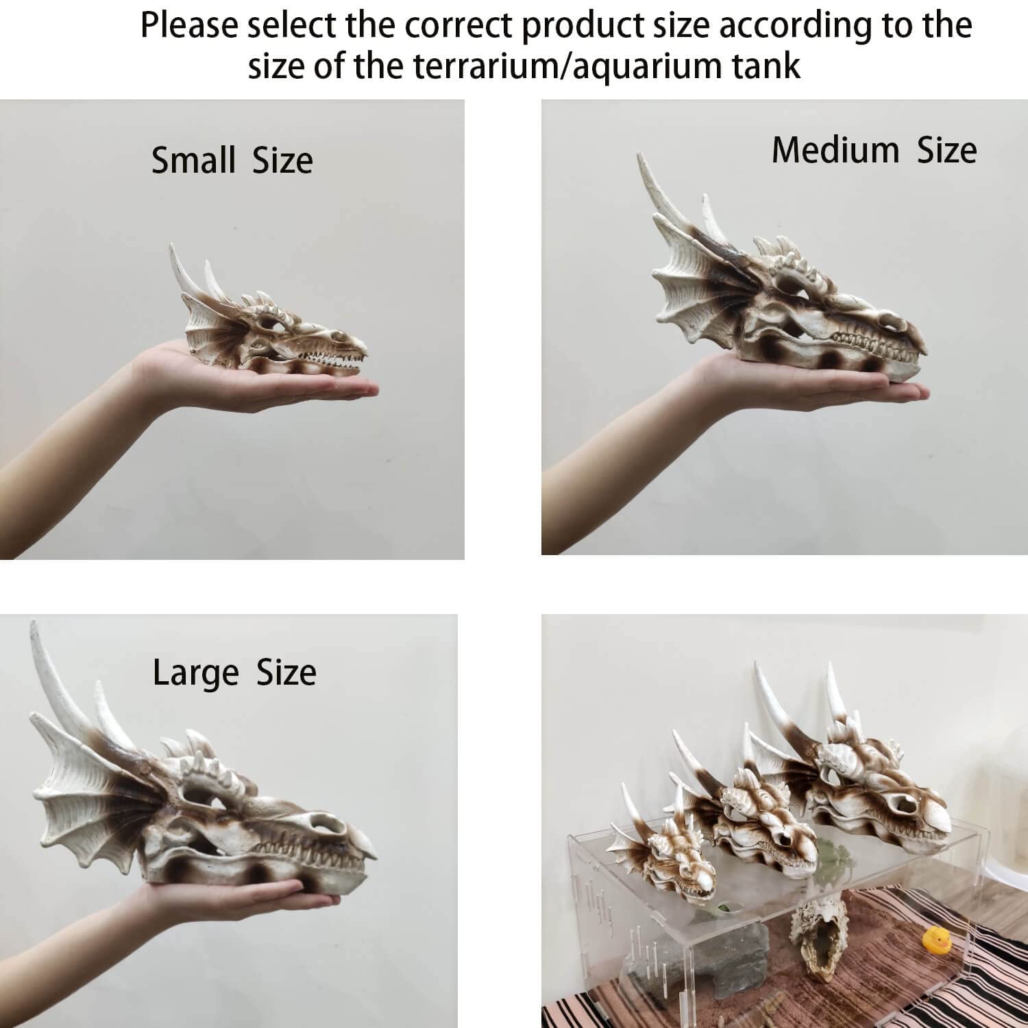 Your one-stop shop for diverse, top-quality aquarium supplies and accessories