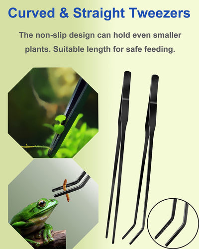 Your one-stop shop for diverse, top-quality aquarium supplies and accessories