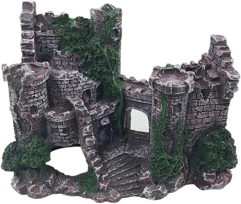 Your one-stop shop for diverse, top-quality aquarium supplies and accessories