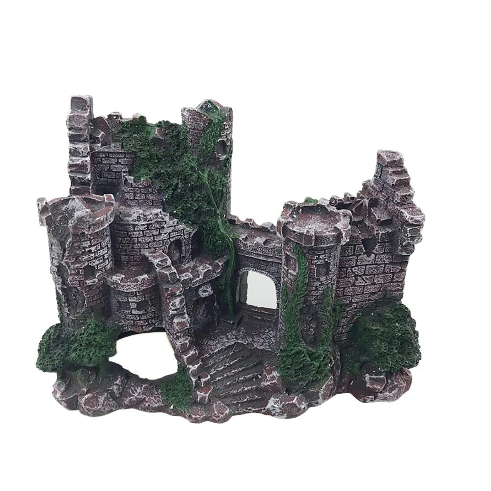 Your one-stop shop for diverse, top-quality aquarium supplies and accessories