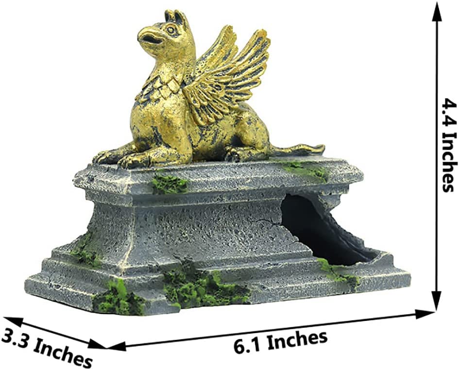 Your one-stop shop for diverse, top-quality aquarium supplies and accessories