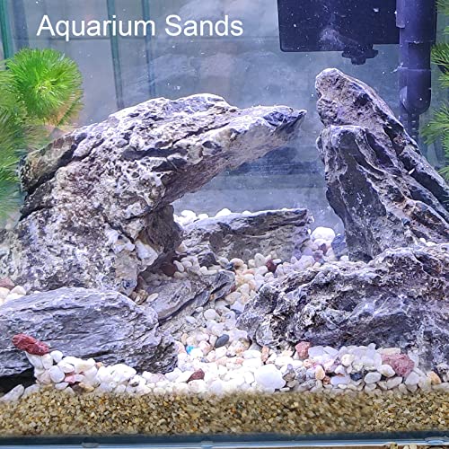 Your one-stop shop for diverse, top-quality aquarium supplies and accessories