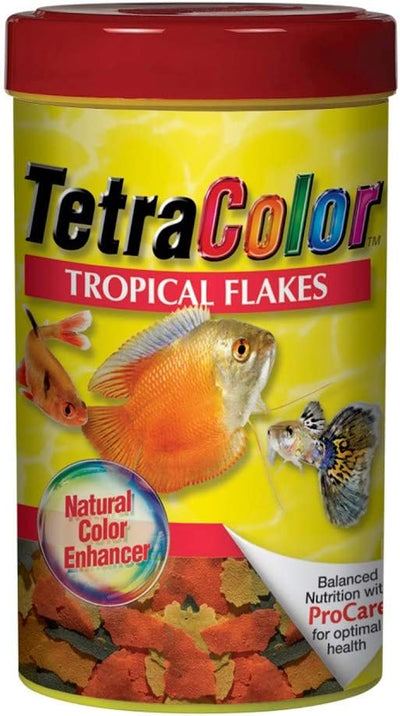 Your one-stop shop for diverse, top-quality aquarium supplies and accessories