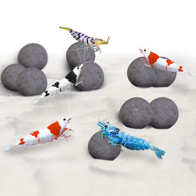 Your one-stop shop for diverse, top-quality aquarium supplies and accessories