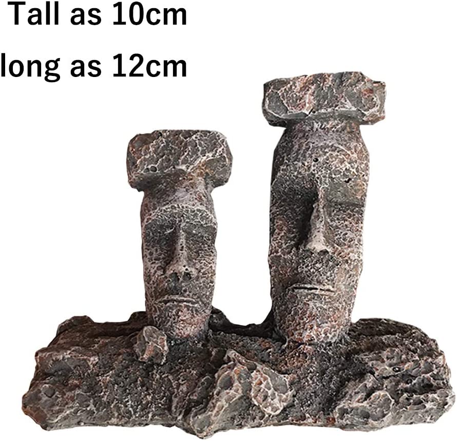 Your one-stop shop for diverse, top-quality aquarium supplies and accessories