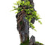 Your one-stop shop for diverse, top-quality aquarium supplies and accessories