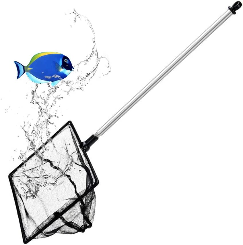 Your one-stop shop for diverse, top-quality aquarium supplies and accessories