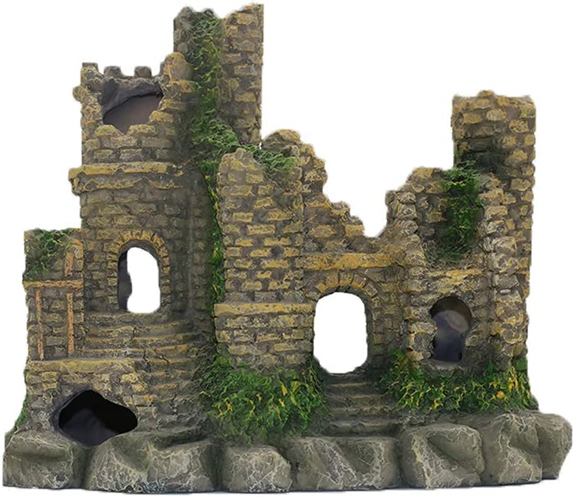 Your one-stop shop for diverse, top-quality aquarium supplies and accessories