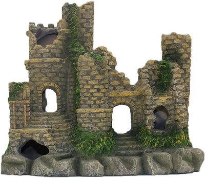 Your one-stop shop for diverse, top-quality aquarium supplies and accessories