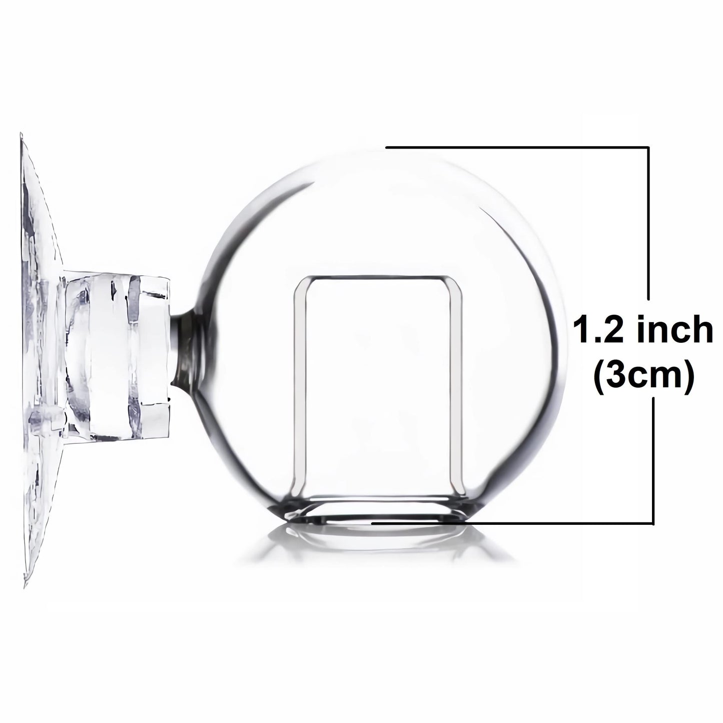 Your one-stop shop for diverse, top-quality aquarium supplies and accessories