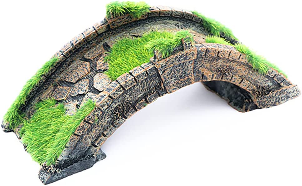 Your one-stop shop for diverse, top-quality aquarium supplies and accessories