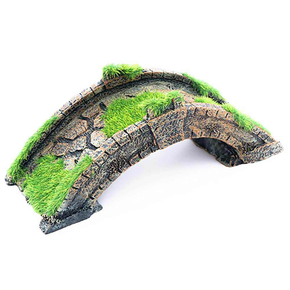 Your one-stop shop for diverse, top-quality aquarium supplies and accessories