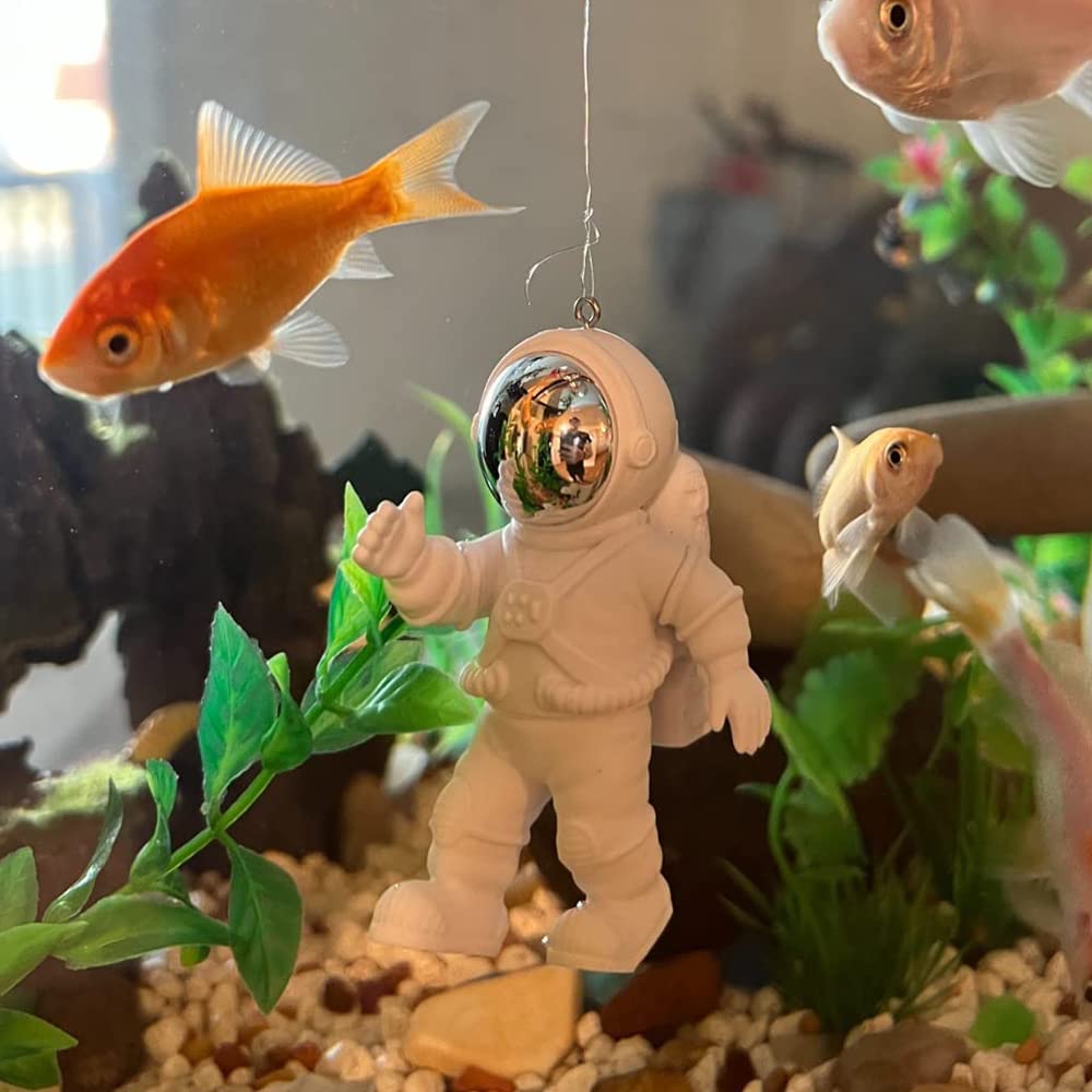 Your one-stop shop for diverse, top-quality aquarium supplies and accessories