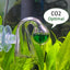 Your one-stop shop for diverse, top-quality aquarium supplies and accessories