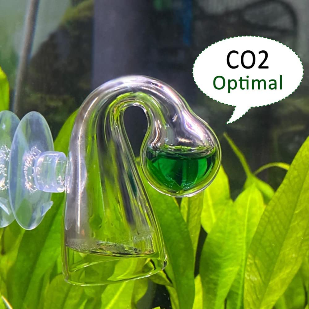 Your one-stop shop for diverse, top-quality aquarium supplies and accessories