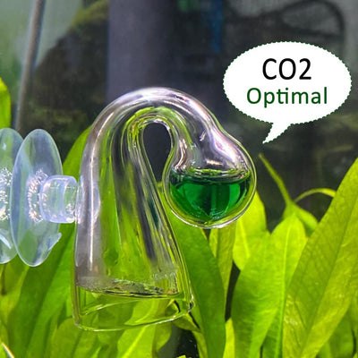 Your one-stop shop for diverse, top-quality aquarium supplies and accessories