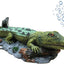 Your one-stop shop for diverse, top-quality aquarium supplies and accessories