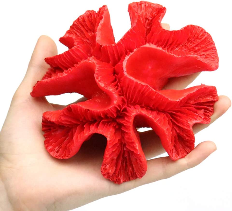 Your one-stop shop for diverse, top-quality aquarium supplies and accessories