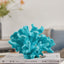 Your one-stop shop for diverse, top-quality aquarium supplies and accessories