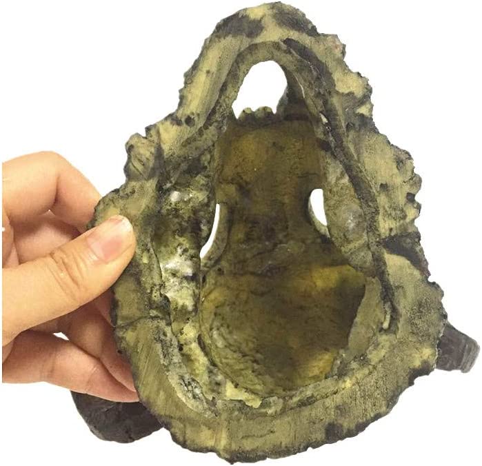 Your one-stop shop for diverse, top-quality aquarium supplies and accessories