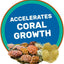 Your one-stop shop for diverse, top-quality aquarium supplies and accessories