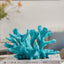Your one-stop shop for diverse, top-quality aquarium supplies and accessories