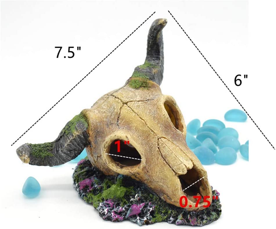 Your one-stop shop for diverse, top-quality aquarium supplies and accessories