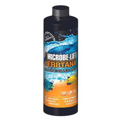 Your one-stop shop for diverse, top-quality aquarium supplies and accessories