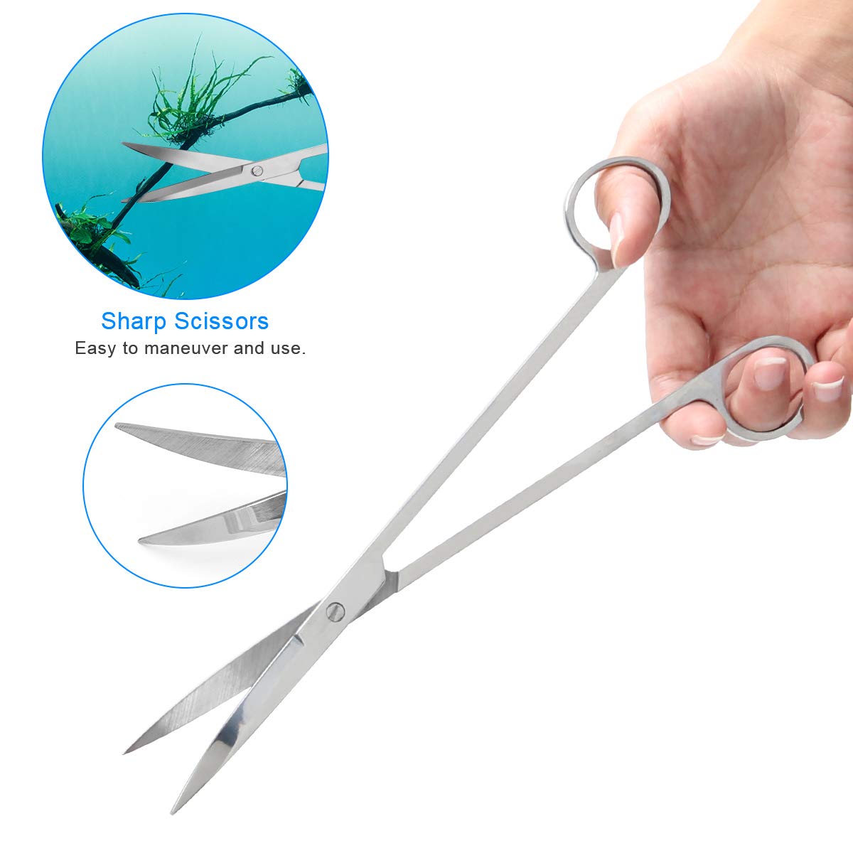 Your one-stop shop for diverse, top-quality aquarium supplies and accessories