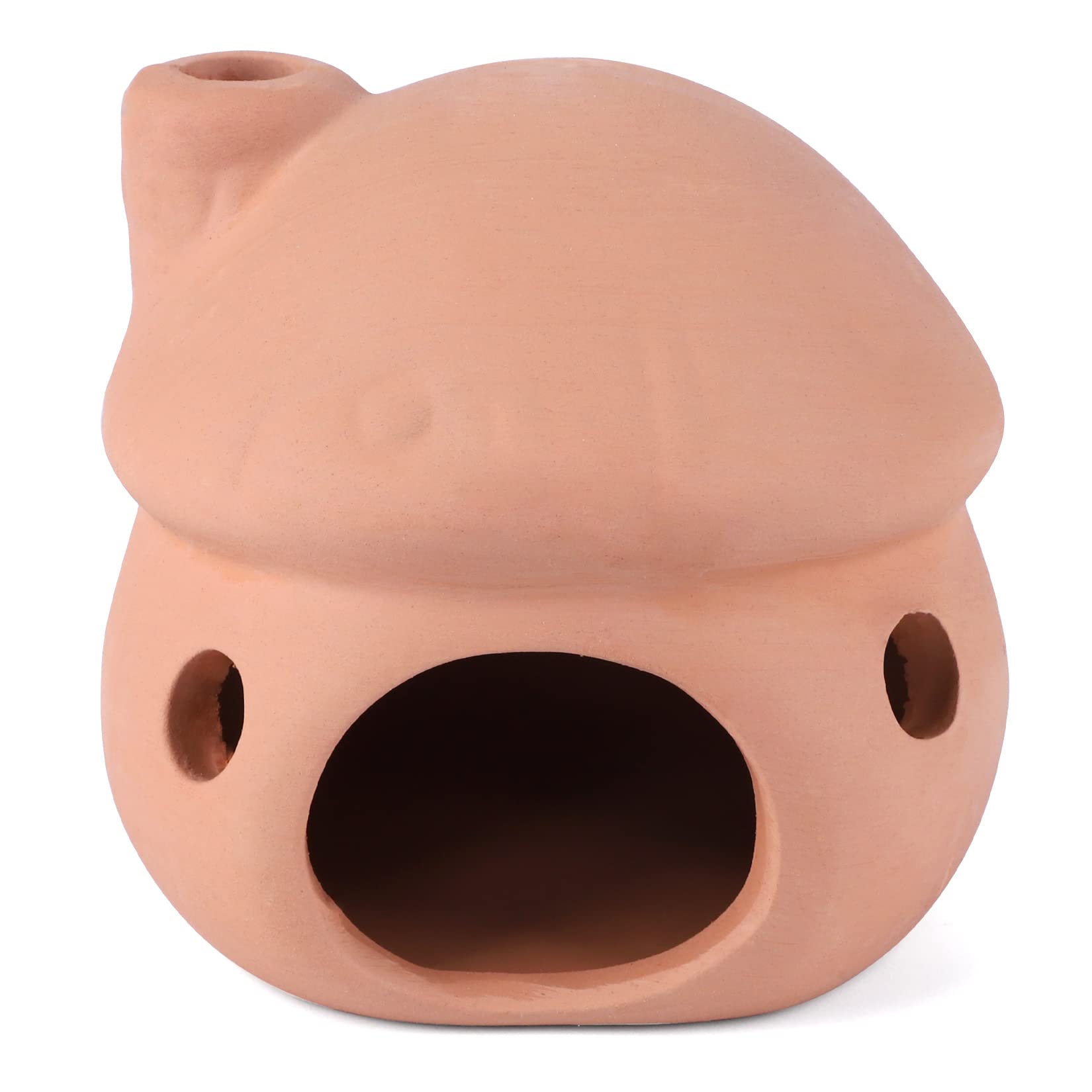 Your one-stop shop for diverse, top-quality aquarium supplies and accessories