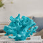 Your one-stop shop for diverse, top-quality aquarium supplies and accessories