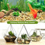 Your one-stop shop for diverse, top-quality aquarium supplies and accessories