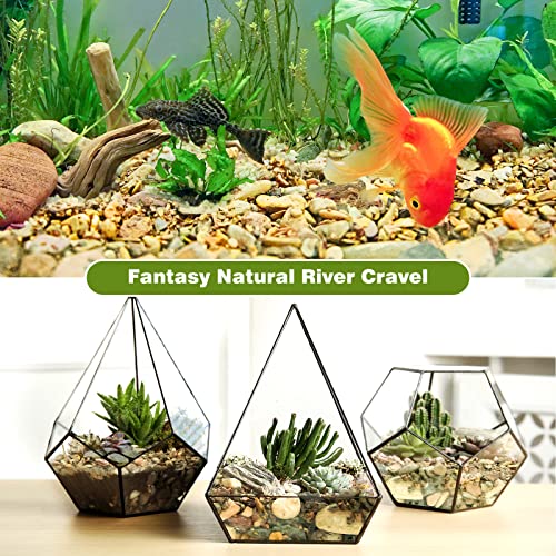 Your one-stop shop for diverse, top-quality aquarium supplies and accessories