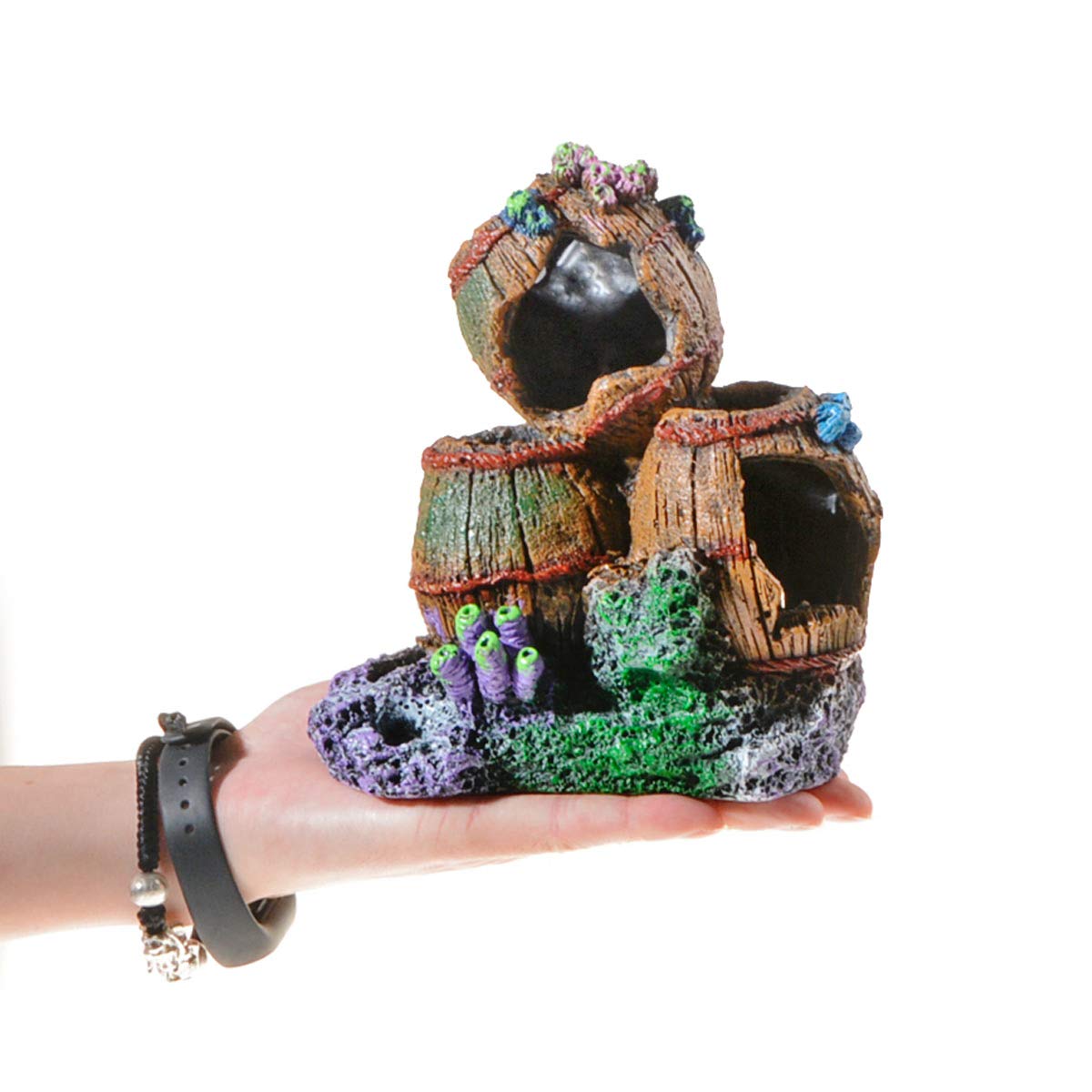 Your one-stop shop for diverse, top-quality aquarium supplies and accessories