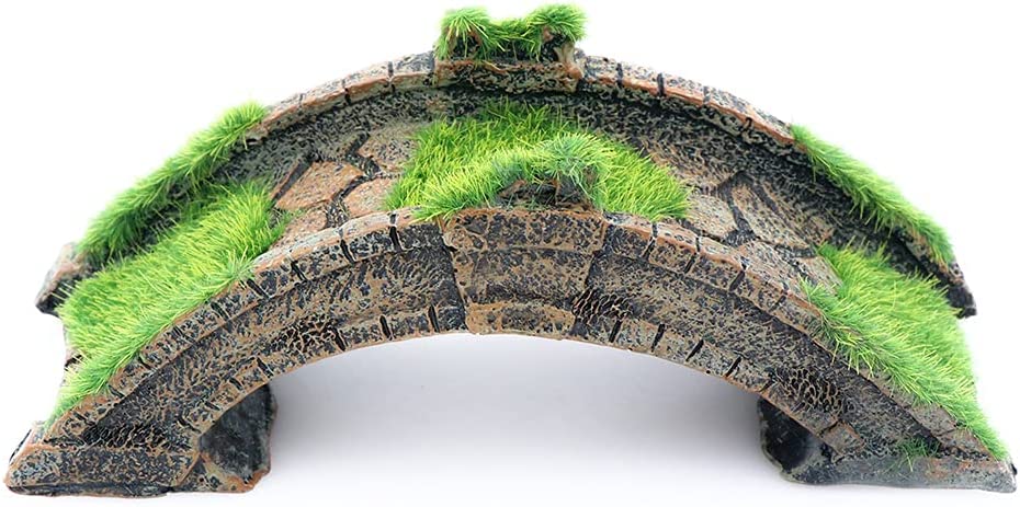 Your one-stop shop for diverse, top-quality aquarium supplies and accessories