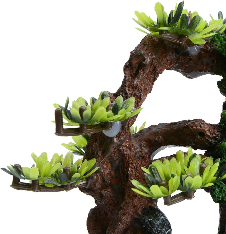 Your one-stop shop for diverse, top-quality aquarium supplies and accessories