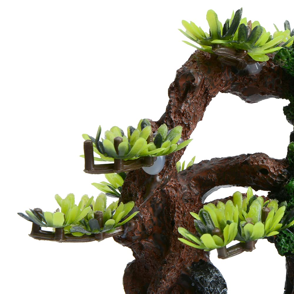 Your one-stop shop for diverse, top-quality aquarium supplies and accessories