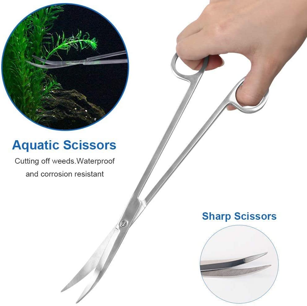 Your one-stop shop for diverse, top-quality aquarium supplies and accessories