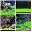 Your one-stop shop for diverse, top-quality aquarium supplies and accessories