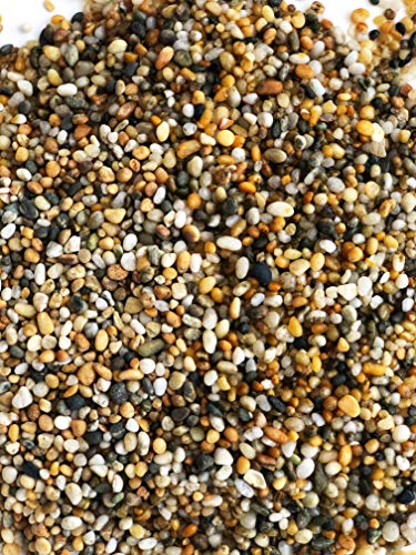 Your one-stop shop for diverse, top-quality aquarium supplies and accessories