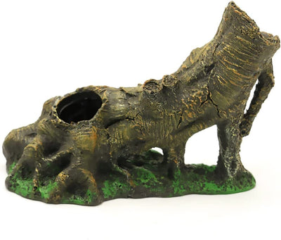 Your one-stop shop for diverse, top-quality aquarium supplies and accessories