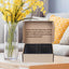 Your one-stop shop for diverse, top-quality aquarium supplies and accessories