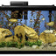 Your one-stop shop for diverse, top-quality aquarium supplies and accessories