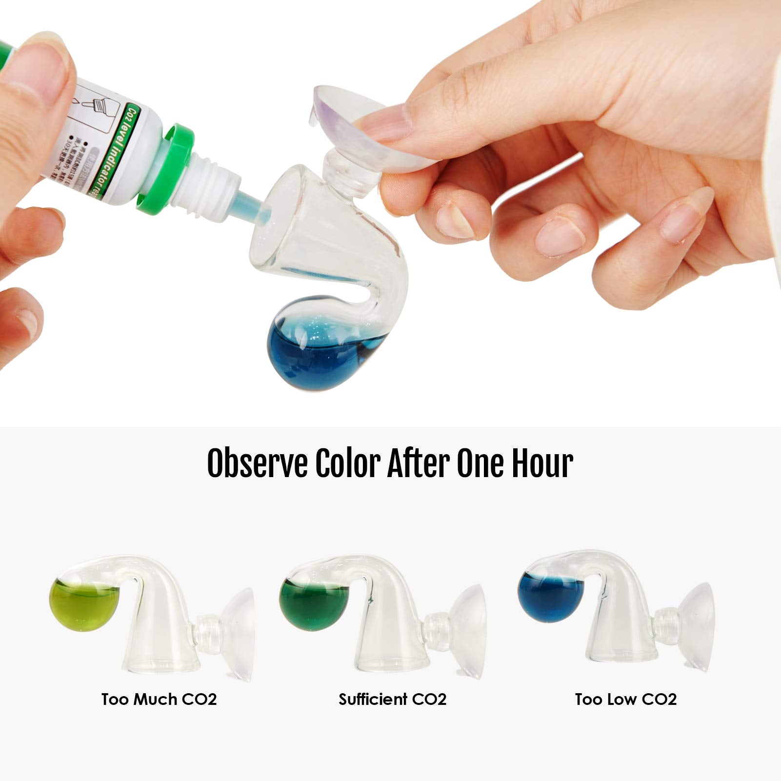 Your one-stop shop for diverse, top-quality aquarium supplies and accessories