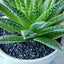 Your one-stop shop for diverse, top-quality aquarium supplies and accessories