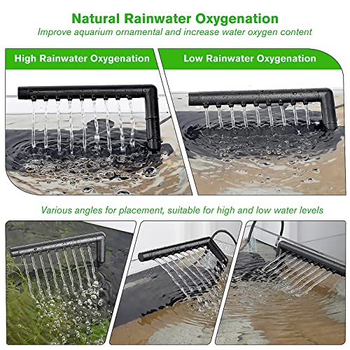 Your one-stop shop for diverse, top-quality aquarium supplies and accessories